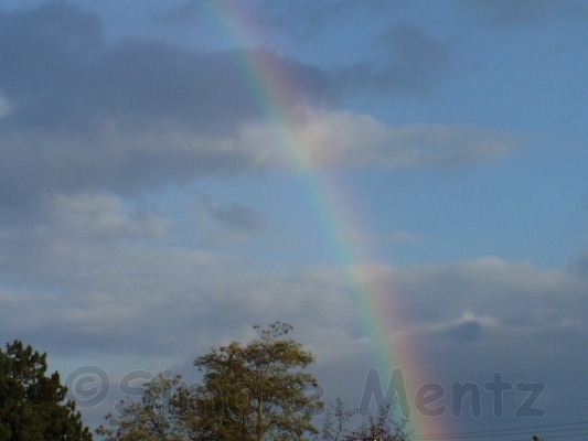 Images/Bayern - RAF Regenbogen_ (01).jpg